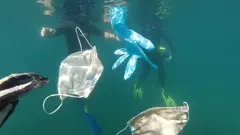 Contaminación océanos