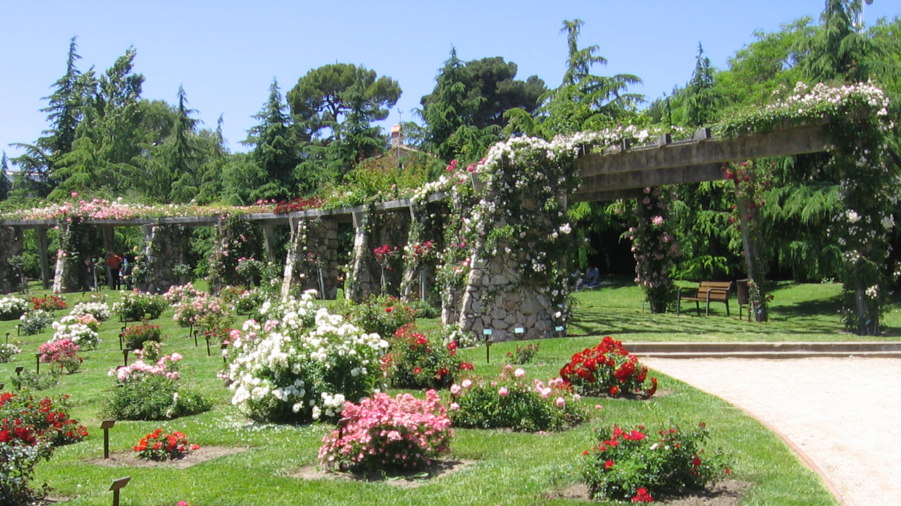 captura-de-pantalla-2016-03-24-a-les-15-35-36