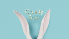 Diseño sin título (2)