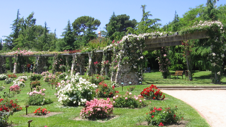 captura-de-pantalla-2016-03-24-a-les-15-35-36